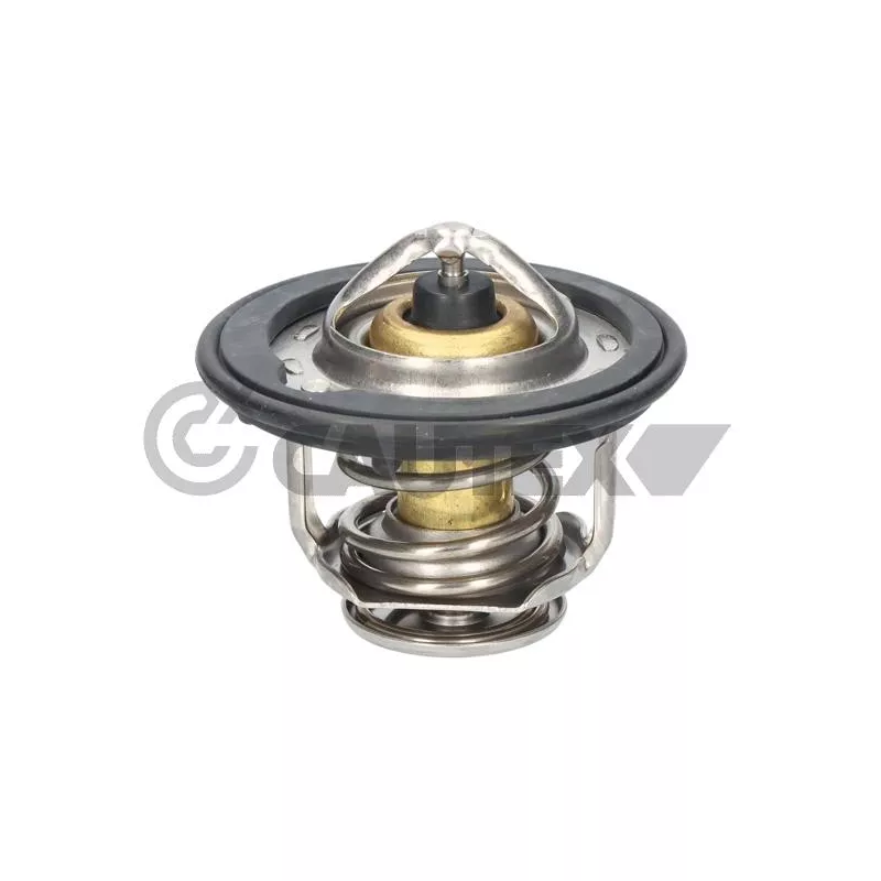 Thermostat, liquide de refroidissement CAUTEX 756894