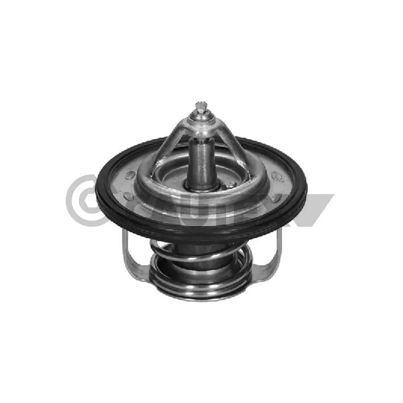 Thermostat, liquide de refroidissement CAUTEX 756895