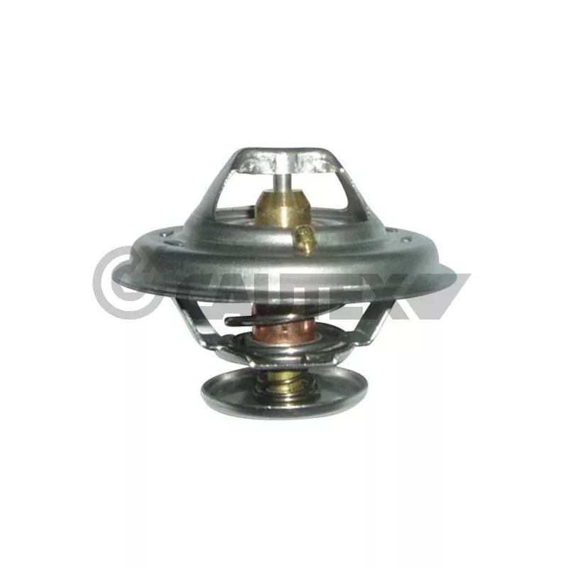 Thermostat, liquide de refroidissement CAUTEX 756896