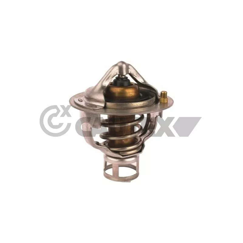 Thermostat, liquide de refroidissement CAUTEX 756897