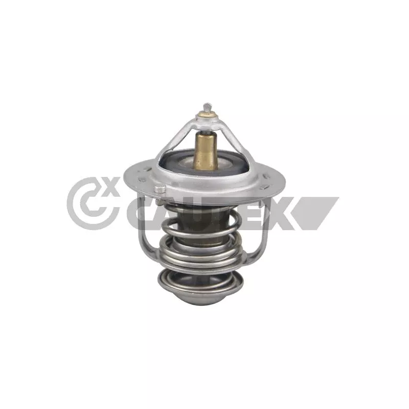 Thermostat, liquide de refroidissement CAUTEX 756898