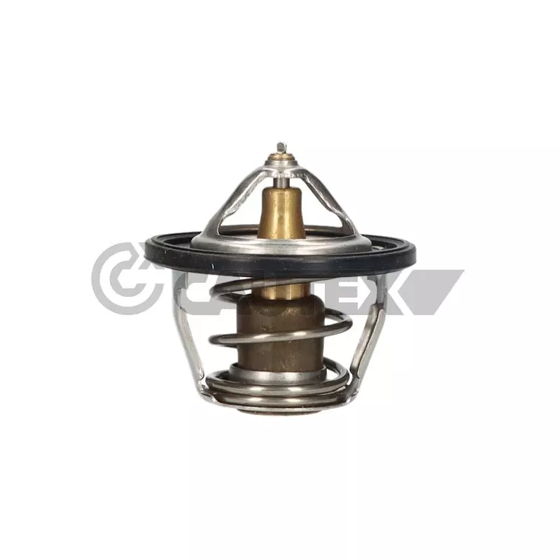 Thermostat, liquide de refroidissement CAUTEX 756906