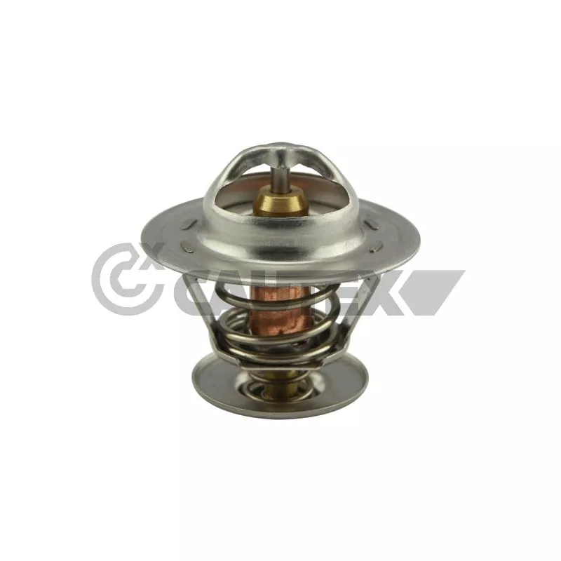 Thermostat, liquide de refroidissement CAUTEX 756908