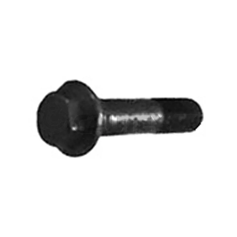Vis de poulie CAUTEX 757041