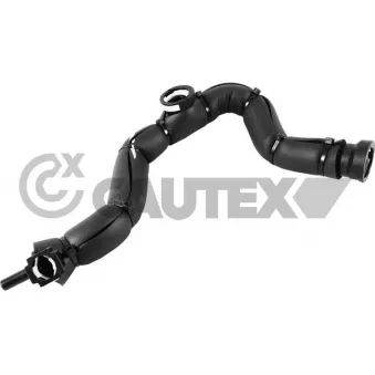 Tuyau, ventilation de carter-moteur CAUTEX 757376