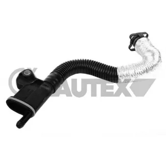 Flexible, aération de la housse de culasse arrière gauche CAUTEX 757378