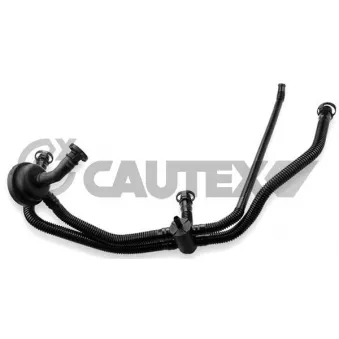 Tuyau, ventilation de carter-moteur CAUTEX 757522