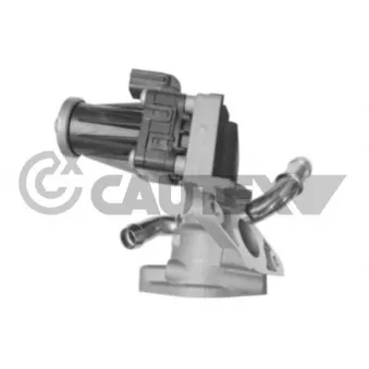 Vanne EGR, commande des gaz d'échappement CAUTEX 757603