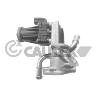 Vanne EGR, commande des gaz d'échappement CAUTEX 757617