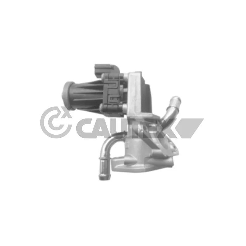 Vanne EGR, commande des gaz d'échappement CAUTEX 757617