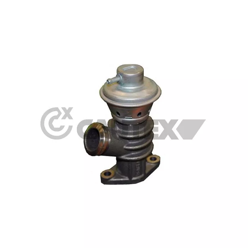 Vanne EGR CAUTEX 757655