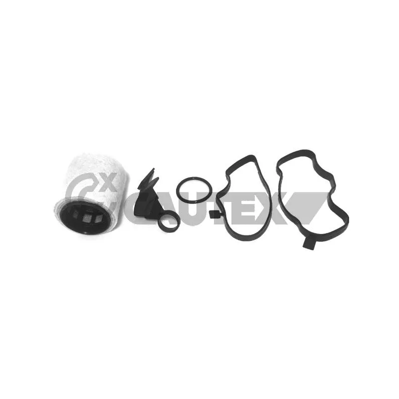 Filtre, ventilation du carter-moteur CAUTEX 757686