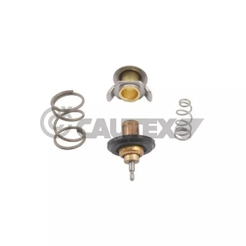 Thermostat, liquide de refroidissement CAUTEX 758398