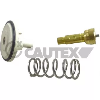 Thermostat, liquide de refroidissement CAUTEX 758452