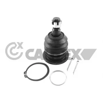 Rotule de suspension CAUTEX 758946