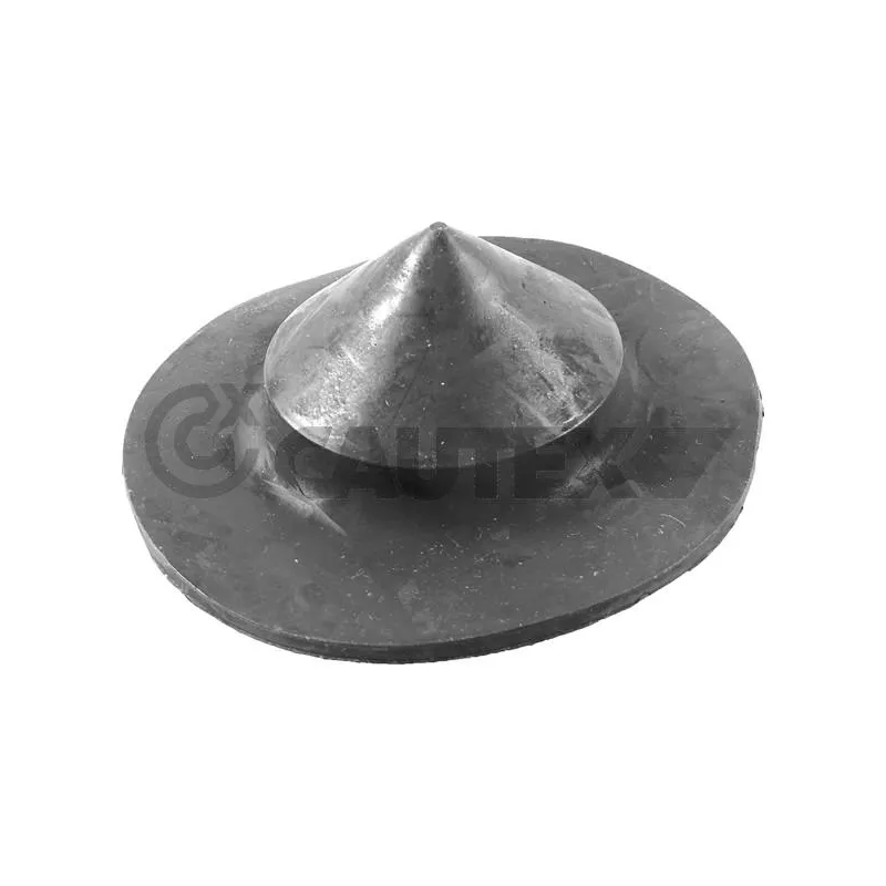 Patin de ressort CAUTEX 758983
