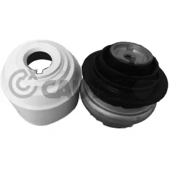 Support moteur CAUTEX 759268
