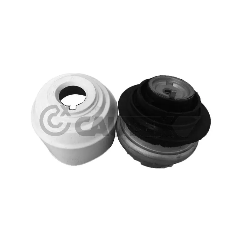 Support moteur CAUTEX 759268