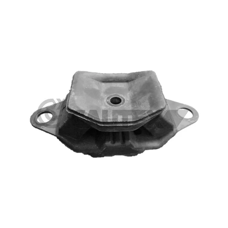 Support moteur CAUTEX 759305