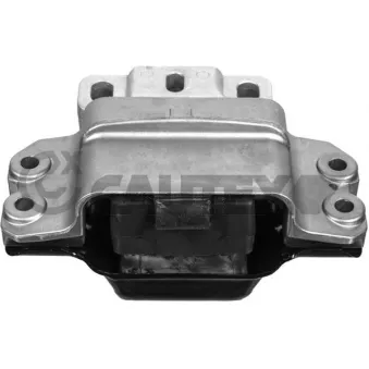 Support moteur CAUTEX 759321