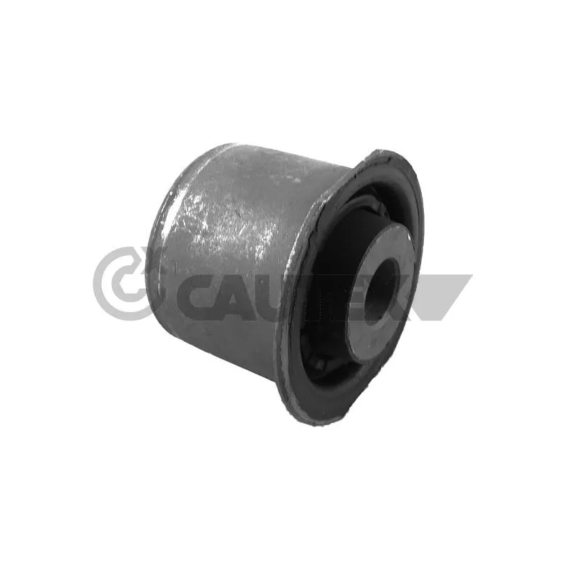 Suspension, corps de l'essieu CAUTEX 759462