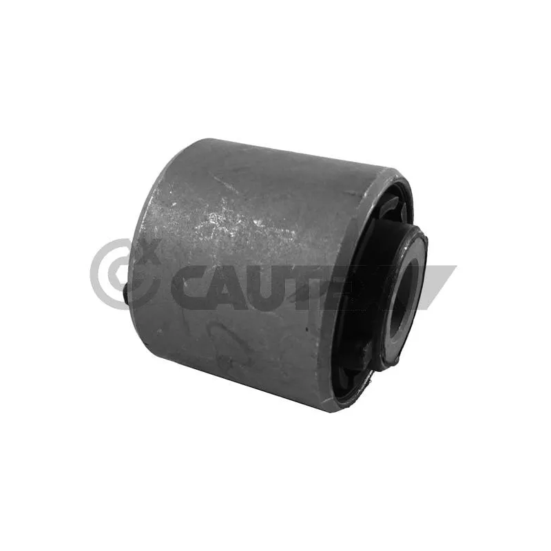 Suspension, corps de l'essieu CAUTEX 759479