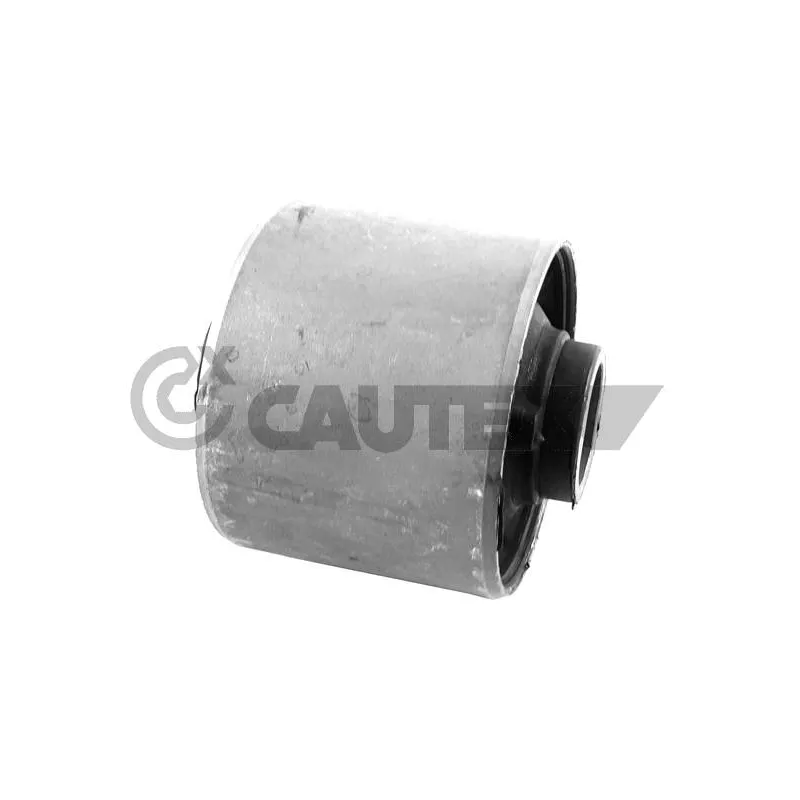 Suspension, corps de l'essieu CAUTEX 759554