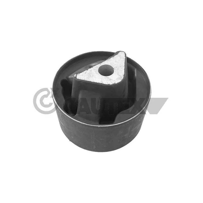 Suspension, corps de l'essieu CAUTEX 759599