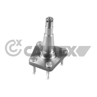 Moyeu de roue arrière CAUTEX 760294