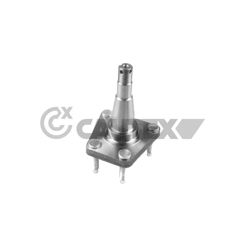 Moyeu de roue arrière CAUTEX 760294