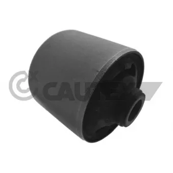 Suspension, Différentiel CAUTEX 760458