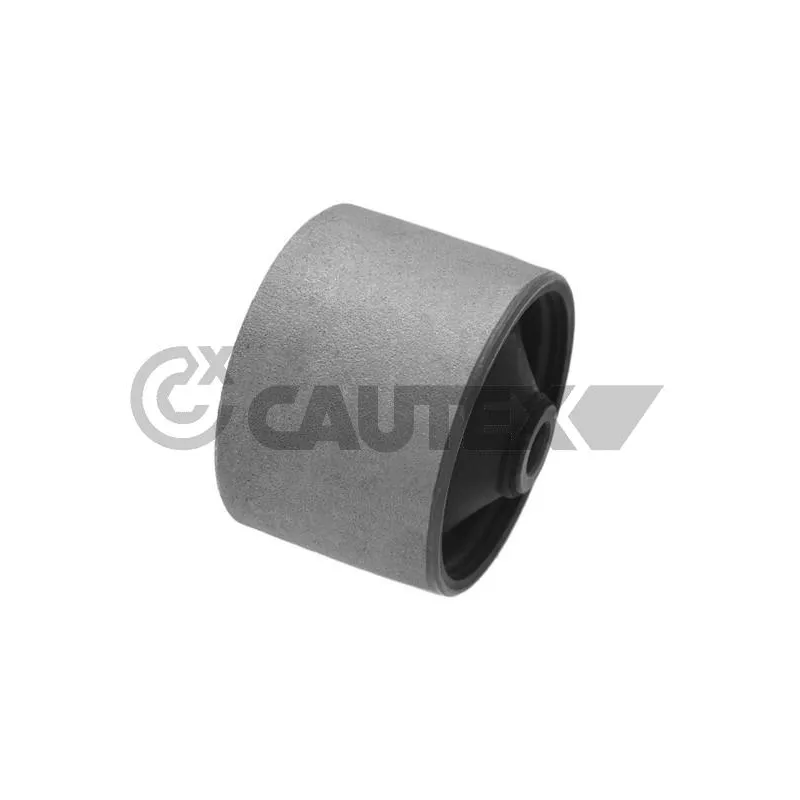 Suspension, corps de l'essieu CAUTEX 760481