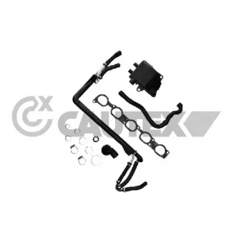 Tuyau, ventilation de carter-moteur CAUTEX 760563