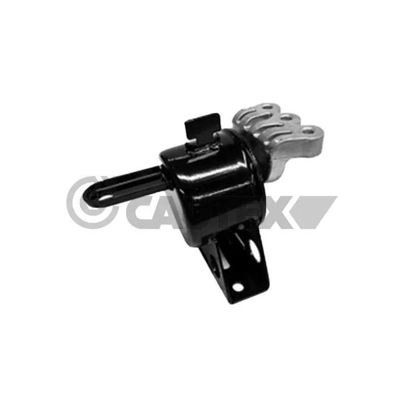 Support moteur CAUTEX 761932