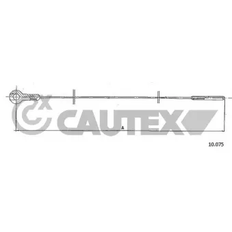 Câble d'accélération CAUTEX 763084