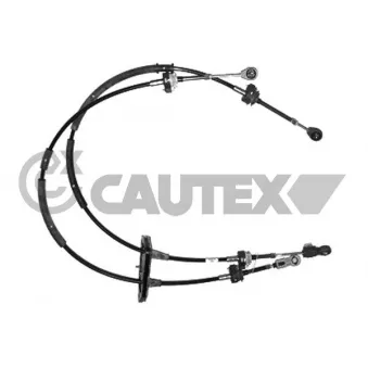 Tirette à câble, boîte de vitesse manuelle CAUTEX 763269