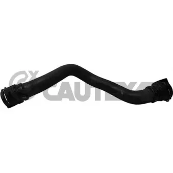 Durite de radiateur CAUTEX 764611
