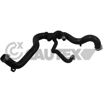 Durite de radiateur CAUTEX 764638