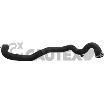 Durite de radiateur CAUTEX 764686