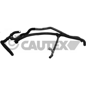Durite de radiateur CAUTEX 764781