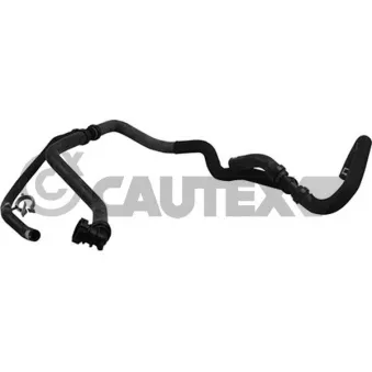 Durite de radiateur CAUTEX 764782