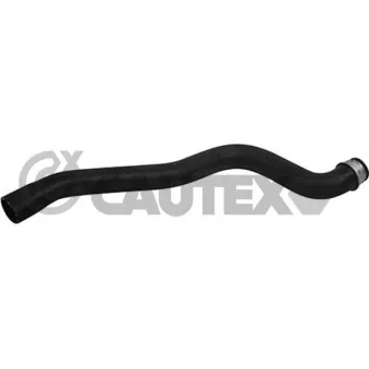 Durite de radiateur CAUTEX 764999