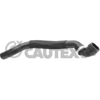 Durite de radiateur CAUTEX 765032
