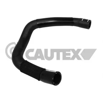 Durite de radiateur CAUTEX 765120