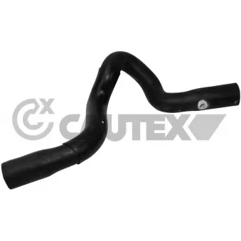 Durite de radiateur CAUTEX 765184