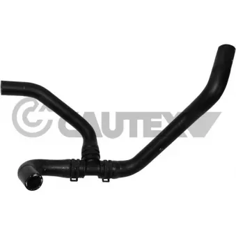 Durite de radiateur CAUTEX 765187