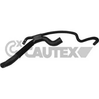 Durite de radiateur CAUTEX 765209