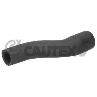 Durite de radiateur CAUTEX 765210