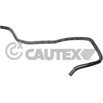Durite de radiateur CAUTEX 765319