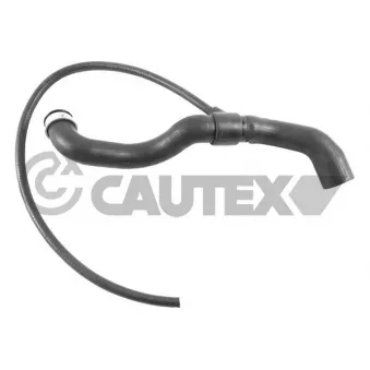 Durite de radiateur CAUTEX 765415